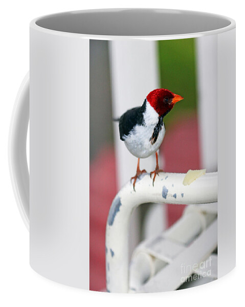 Cheese And I Coffee Mug featuring the photograph Cheese and I by Jennifer Robin