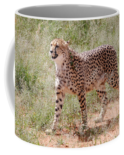 Cheetah Coffee Mug featuring the painting CHEETAH no. 3 by Robert SORENSEN