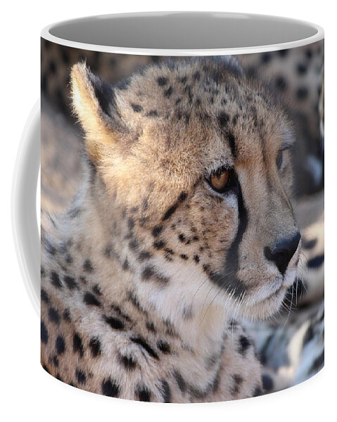 Cheetah Coffee Mug featuring the photograph Cheetah and Friends by Samantha Delory