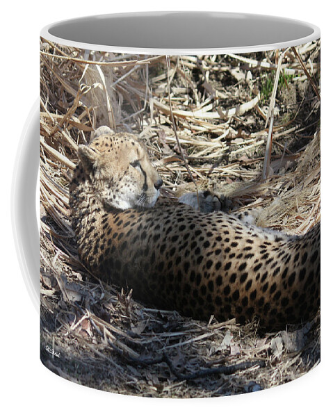 Maryland Coffee Mug featuring the photograph Cheetah Awakened by Ronald Reid