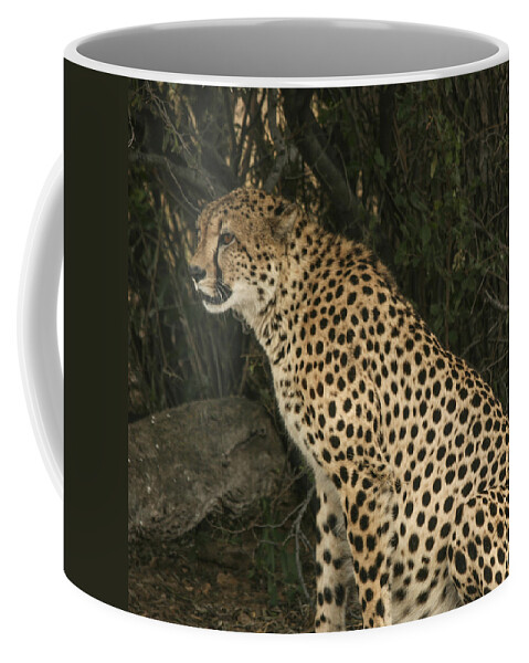 Karen Zuk Rosenblatt Art And Photography Coffee Mug featuring the photograph Cheetah Watching by Karen Zuk Rosenblatt
