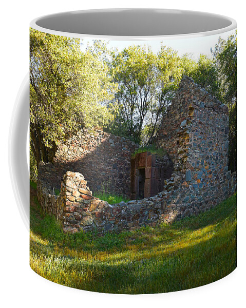 Ruins Of The Cherokee Gold Assayers Office Coffee Mug featuring the photograph Cherokee Gold Assayers Office Ruins by Frank Wilson