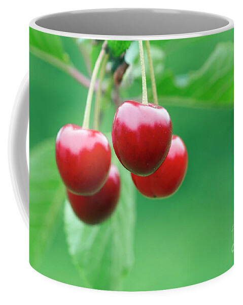 Cherry Coffee Mug featuring the photograph Cherries by Michal Boubin