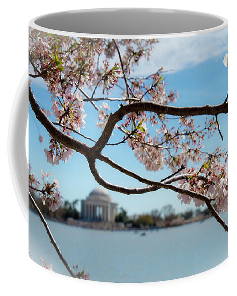 Cherry Blossom Festival Coffee Mug featuring the photograph Cherry Blossom Festival by Agnes Caruso