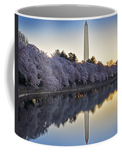 Washington Dc Sunrise Coffee Mug featuring the photograph Cherry Blossom Festival - Washington DC by Brendan Reals