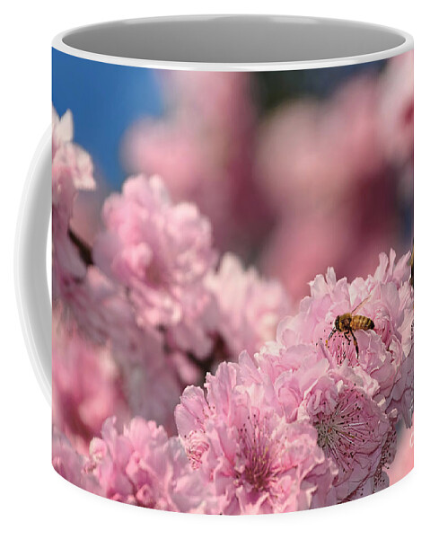 Photography Coffee Mug featuring the photograph Cherry Blossoms and a Bee by Kaye Menner by Kaye Menner