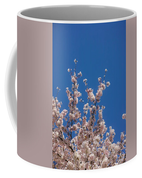 Cherryblossoms Coffee Mug featuring the photograph Cherry blossoms#8 by Yasuhiro Fukui