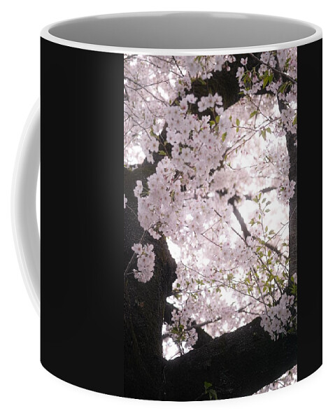 Cherryblossoms Coffee Mug featuring the photograph Cherry blossoms#9 by Yasuhiro Fukui