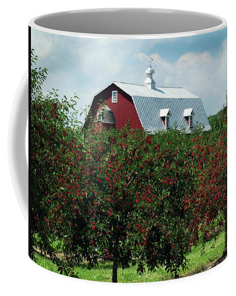 Door County Coffee Mug featuring the photograph Cherry Orchard and Barn by David T Wilkinson