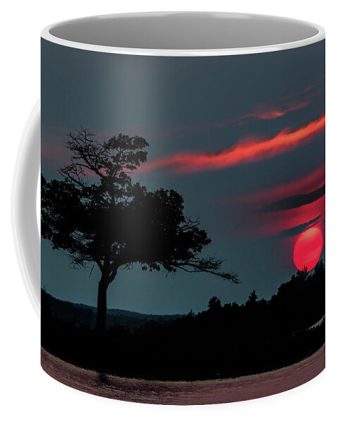 Higgins Lake Coffee Mug featuring the photograph Cherry Red by Joe Holley