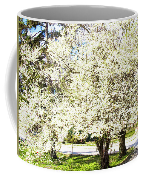 Cherry Coffee Mug featuring the photograph Cherry trees in blossom by Irina Afonskaya