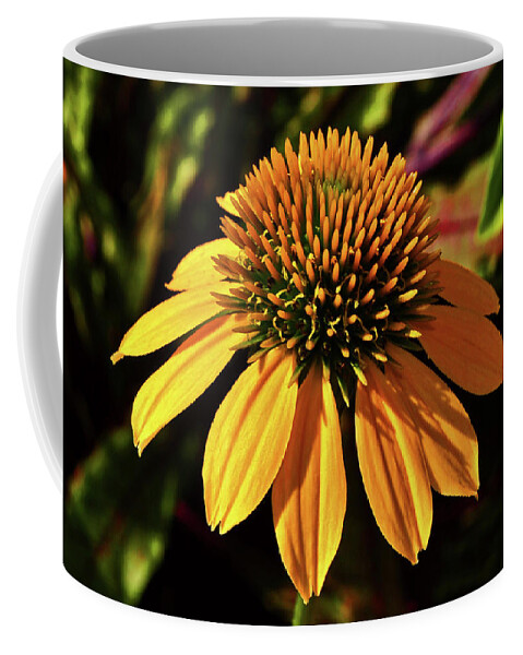 Flower Coffee Mug featuring the photograph Cheyenne Spirit Coneflower - Harvest Moon 001 by George Bostian