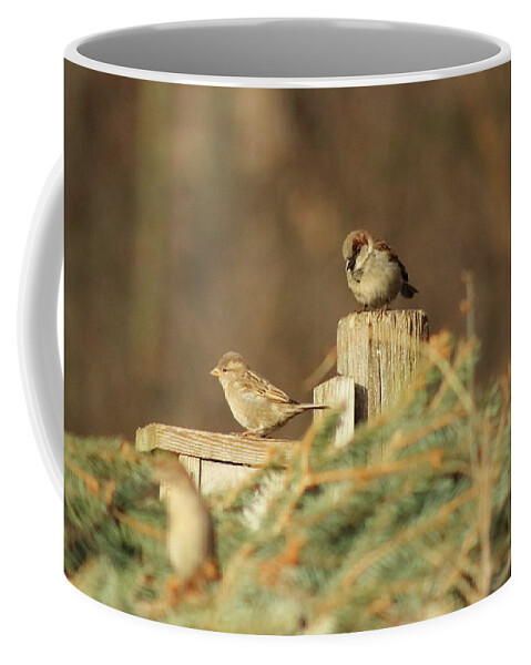 Chickadees Coffee Mug featuring the photograph Chickadees by Erick Schmidt