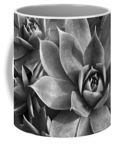 Botanical Coffee Mug featuring the photograph Chicks and Hens Black and White by Ann Bridges
