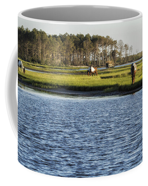 Ponies Coffee Mug featuring the photograph Chincoteague Ponies on Assateague Island by Belinda Greb