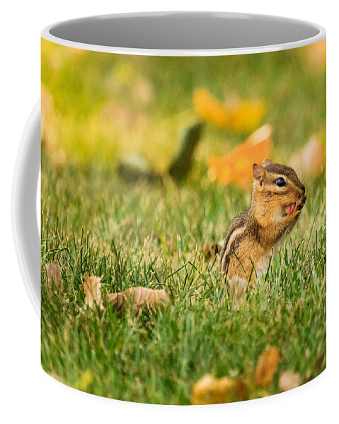 Animal Coffee Mug featuring the photograph Chipmunk Licking His Paws by Joni Eskridge