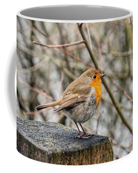 Bird - Robin Coffee Mug featuring the photograph Chirpy by Chris Horsnell