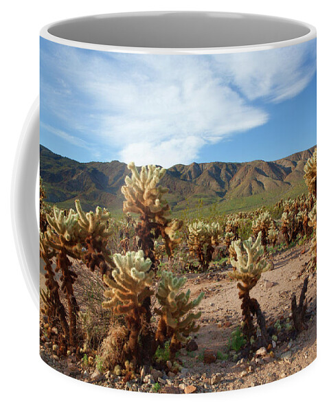 Joshua Tree National Park Coffee Mug featuring the photograph Cholla Cactus Garden - Joshua Tree National Park by Ram Vasudev