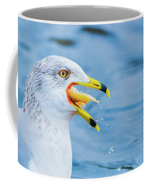 20170128 Coffee Mug featuring the photograph Chow Down by Jeff at JSJ Photography