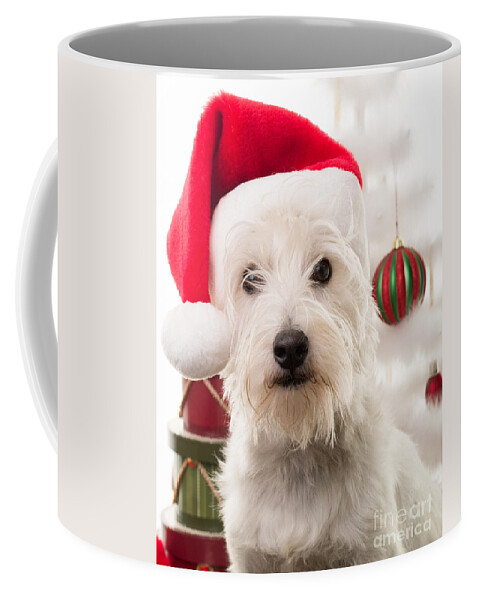 Christmas Coffee Mug featuring the photograph Christmas Elf Dog by Edward Fielding