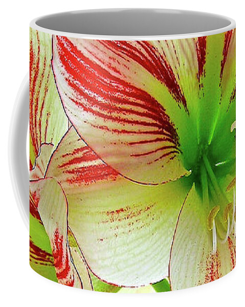 Amaryllis Coffee Mug featuring the photograph A Christmas Gift by James Temple