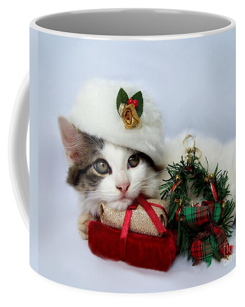 Christmas Coffee Mug featuring the photograph Christmas Kitten by Jai Johnson