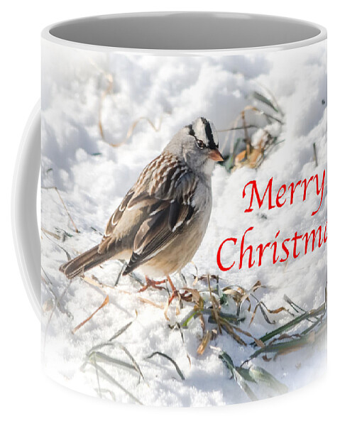 White-crowned Sparrow Coffee Mug featuring the photograph Christmas Sparrow by Holden The Moment