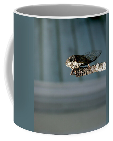 Cicada Coffee Mug featuring the photograph Cicada by Cathy Harper