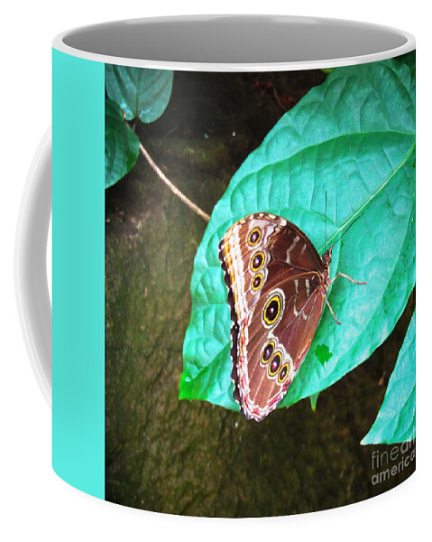 Butterfly Coffee Mug featuring the photograph Circles on Wings by Robert Knight