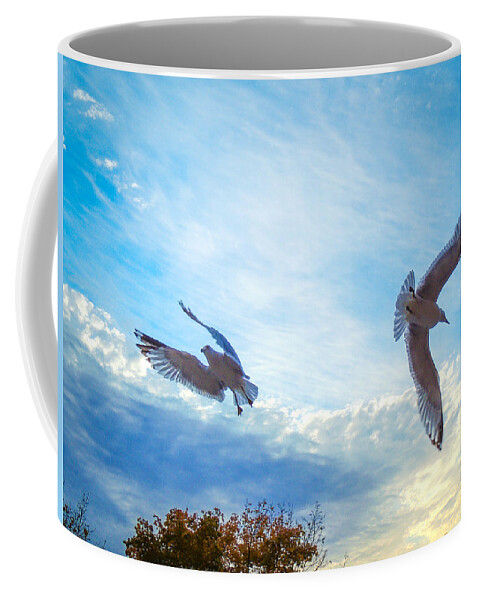 Landscapes Coffee Mug featuring the photograph Circling Wings by Glenn Feron