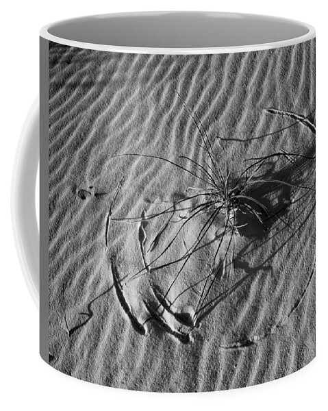 Grass Pattern Coffee Mug featuring the photograph 214805-BW-Circular Grass Dune Pattern by Ed Cooper Photography