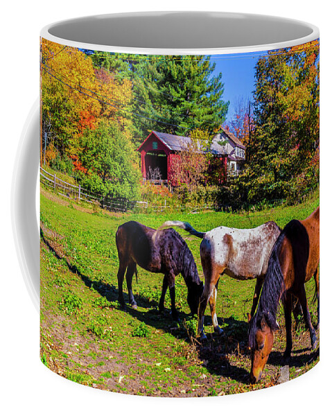 Fall Foliage Coffee Mug featuring the photograph Classic Vermont Scene by Scenic Vermont Photography