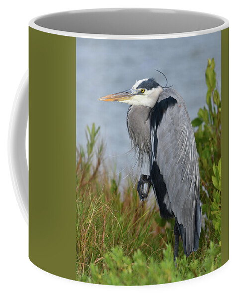 Blue Heron Coffee Mug featuring the photograph Classy Blue Heron by Artful Imagery