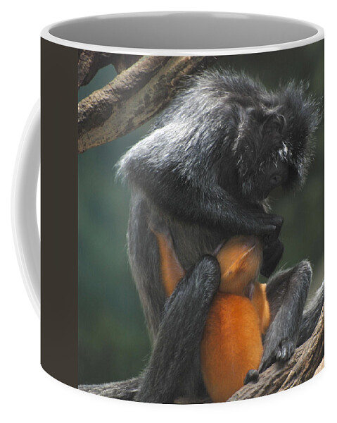 Monkey Coffee Mug featuring the photograph Cleaning Baby by Richard Bryce and Family