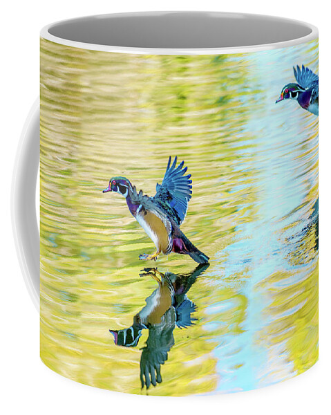 Wood Duck Coffee Mug featuring the photograph Clear the Runway by Judi Dressler