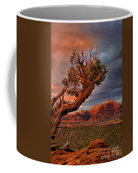 Dave Welling Coffee Mug featuring the photograph Clearing Storm And West Temple South Of Zion National Park by Dave Welling