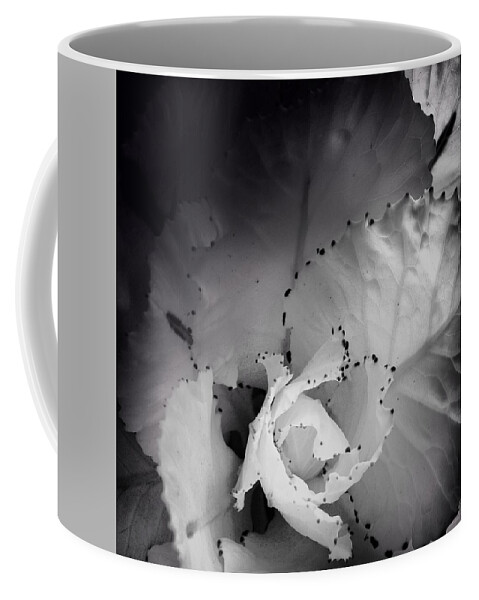 Photography Coffee Mug featuring the photograph Clearly Bloomed by Kathleen Messmer