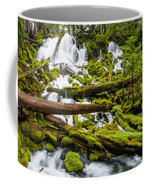Clearwater Creek Coffee Mug featuring the photograph Clearwater Falls and Rapids by Greg Nyquist