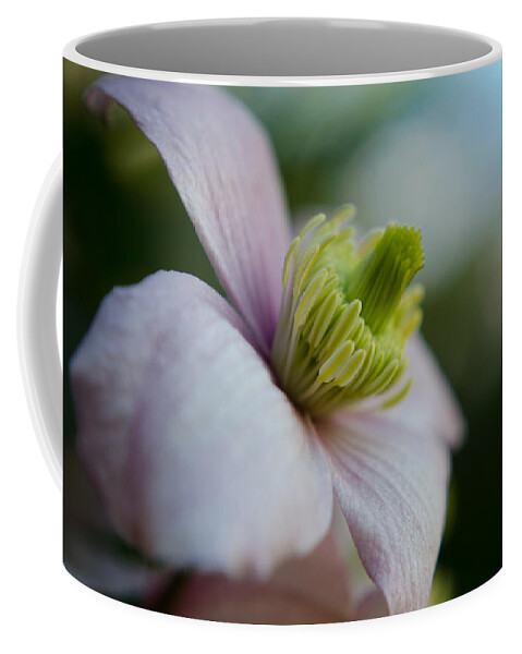 Flower Coffee Mug featuring the photograph Clematis flower face of Spring by Spikey Mouse Photography