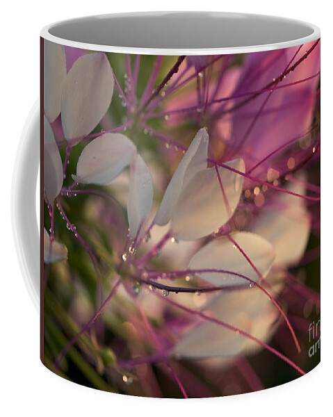 Flower Coffee Mug featuring the photograph Cleome Flower in the Morning by Rachel Morrison