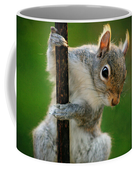 Climbing Squirrel Coffee Mug featuring the photograph Climbing Squirrel by Susan McMenamin