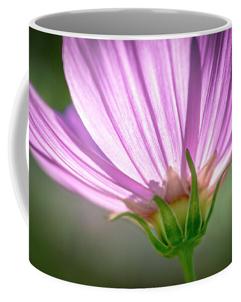 Daisy Coffee Mug featuring the photograph Close Enough to a Daisy by Celso Bressan