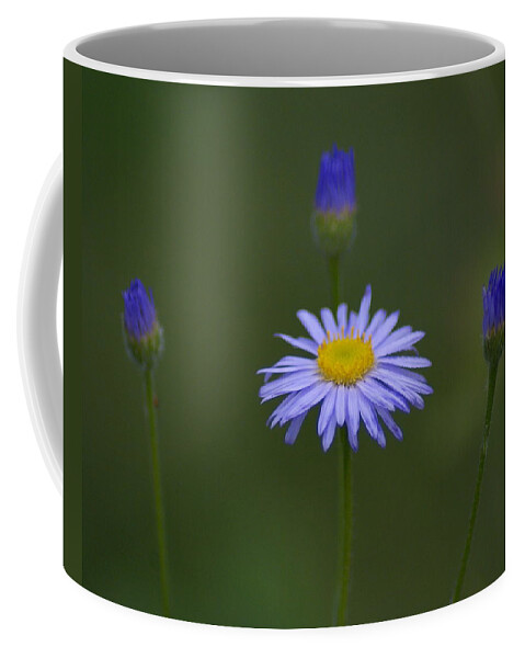 Flowers Coffee Mug featuring the photograph Close Friends by Ben Upham III