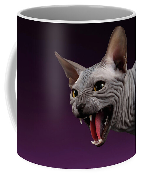 Sphynx Coffee Mug featuring the photograph Close-up Aggressive Sphynx Cat Hisses on purple by Sergey Taran