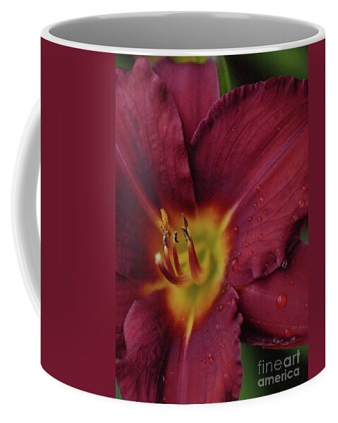 Flower Coffee Mug featuring the photograph Close Up Day Lily by Vivian Martin