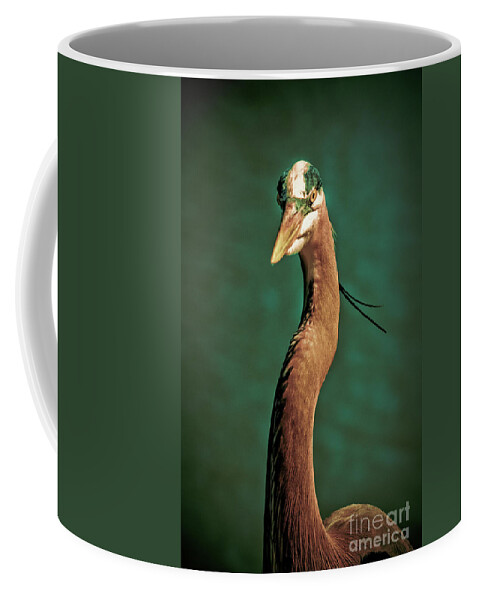 Ardea Herodias Coffee Mug featuring the photograph Close-up of a Great Blue Heron by Stefano Senise