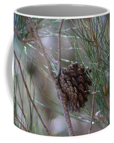 Closeup Coffee Mug featuring the photograph Close Up of Pine Tree Branches and Pinecone in Nevada by Colleen Cornelius