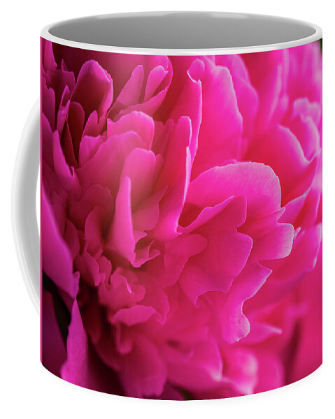 Beautiful Coffee Mug featuring the photograph Close up of Pink Peony Flower by Teri Virbickis