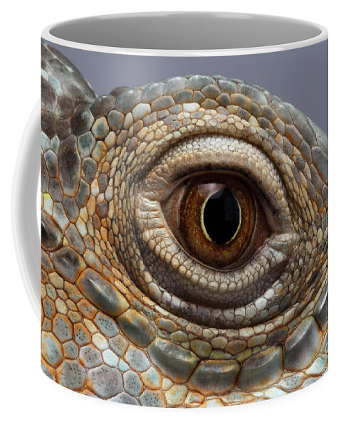 Iguana Coffee Mug featuring the photograph Closeup Eye of Green Iguana by Sergey Taran
