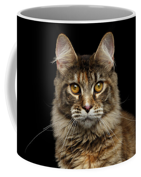 Cat Coffee Mug featuring the photograph Closeup Maine Coon Cat Portrait Isolated on Black Background by Sergey Taran